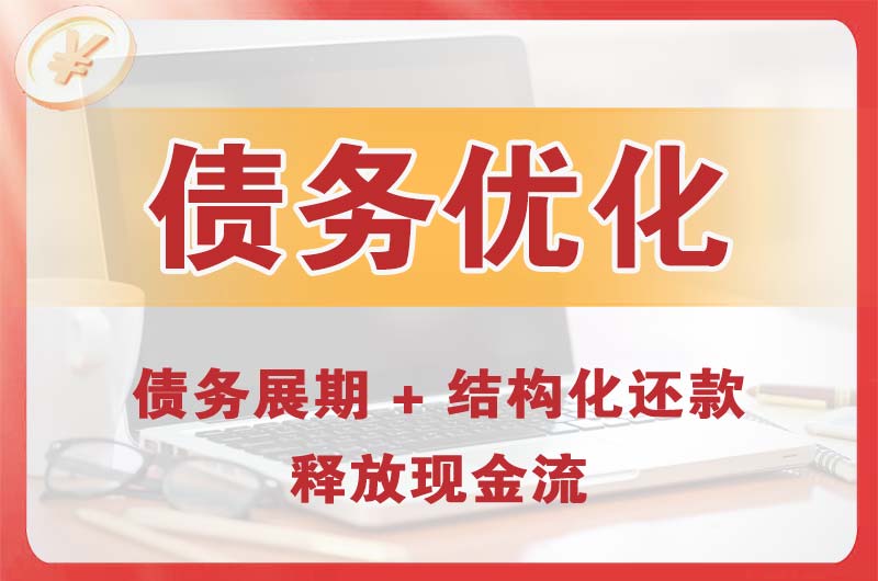 雷州债务优化